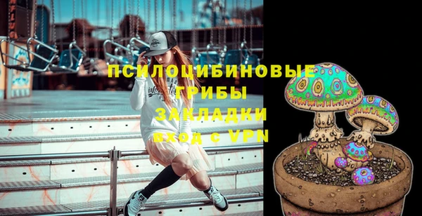 шишки Абдулино