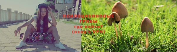 каннабис Абинск