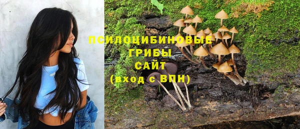 шишки Абдулино