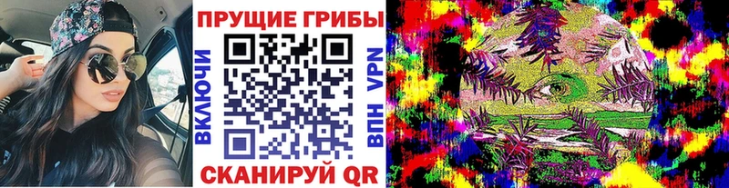 Псилоцибиновые грибы MAGIC MUSHROOMS Кашира