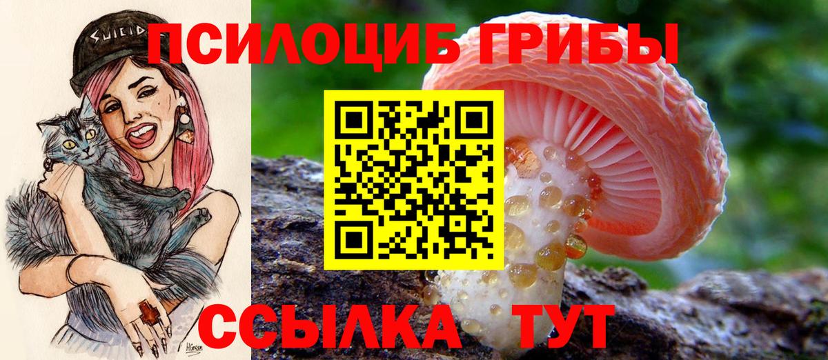Галлюциногенные грибы мухоморы Кашира