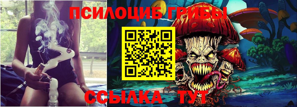 Кашира  Псилоцибиновые грибы Magic Shrooms  Вход с VPN  Галлюциногенные грибы Cubensis 